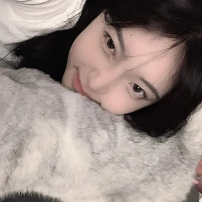 武装起来的好莱坞